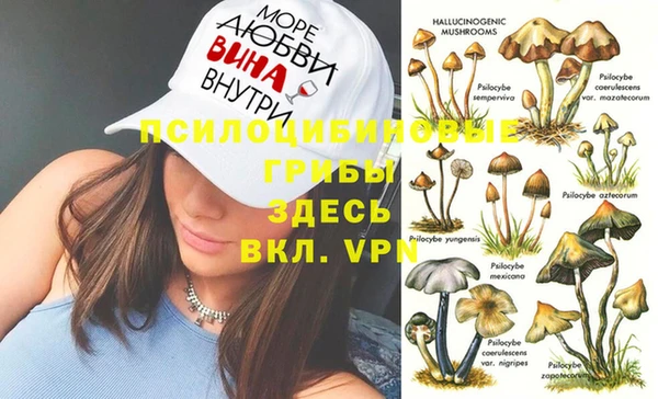 ПСИЛОЦИБИНОВЫЕ ГРИБЫ Алексин
