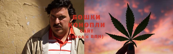 прущие грибы Заводоуковск