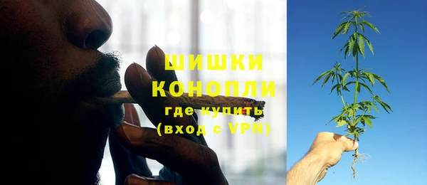 ПСИЛОЦИБИНОВЫЕ ГРИБЫ Алексин