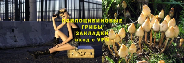 прущие крисы Алексеевка