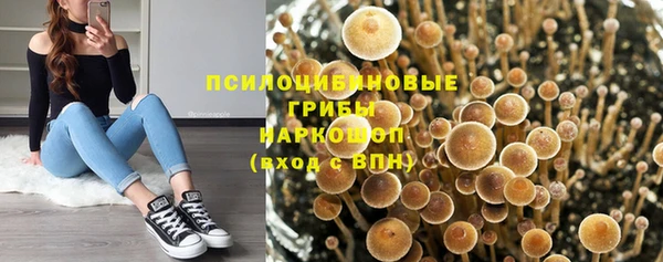 ПСИЛОЦИБИНОВЫЕ ГРИБЫ Алексин