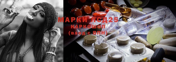 ПСИЛОЦИБИНОВЫЕ ГРИБЫ Алексин